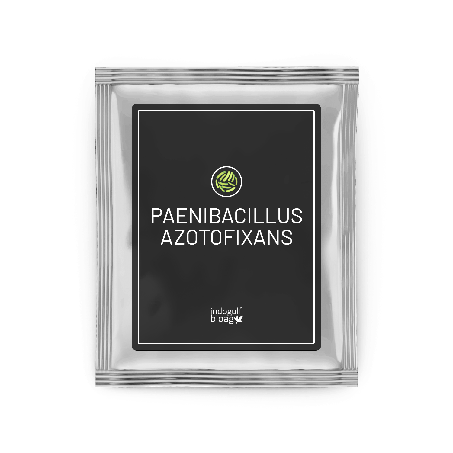 Paenibacillus Azotofixans Manufacturer & Exporter | Nitrogen